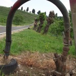 Inizio salita verso il monumento dei granatieri, km 7